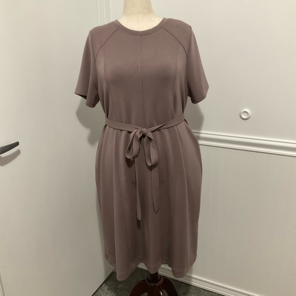 Lane Bryant Dresses & Skirts - Lane Bryant Mauve Short-Sleeve Tie-Waist Midi Dress
